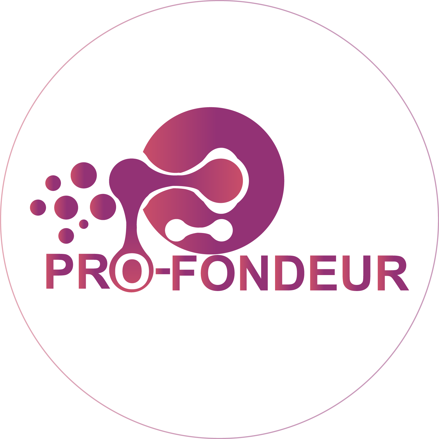 Pro Fondeur Studio